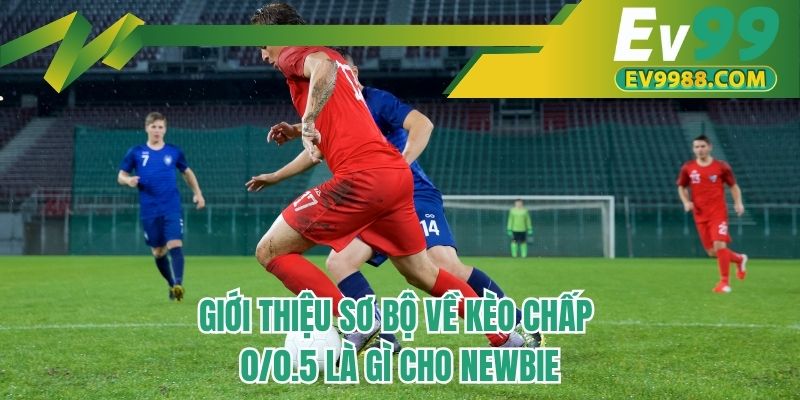 Giới thiệu sơ bộ về kèo chấp 0/0.5 là gì cho newbie