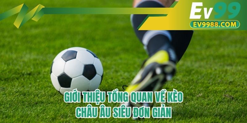 Giới thiệu tổng quan về kèo Châu Âu siêu đơn giản