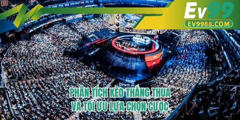 Phân tích kèo thắng thua và tối ưu lựa chọn cược