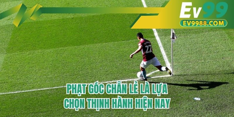 Phạt góc chẵn lẻ là lựa chọn thịnh hành hiện nay